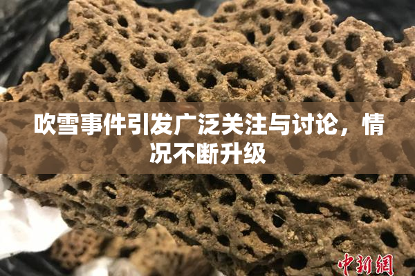 吹雪事件引发广泛关注与讨论，情况不断升级