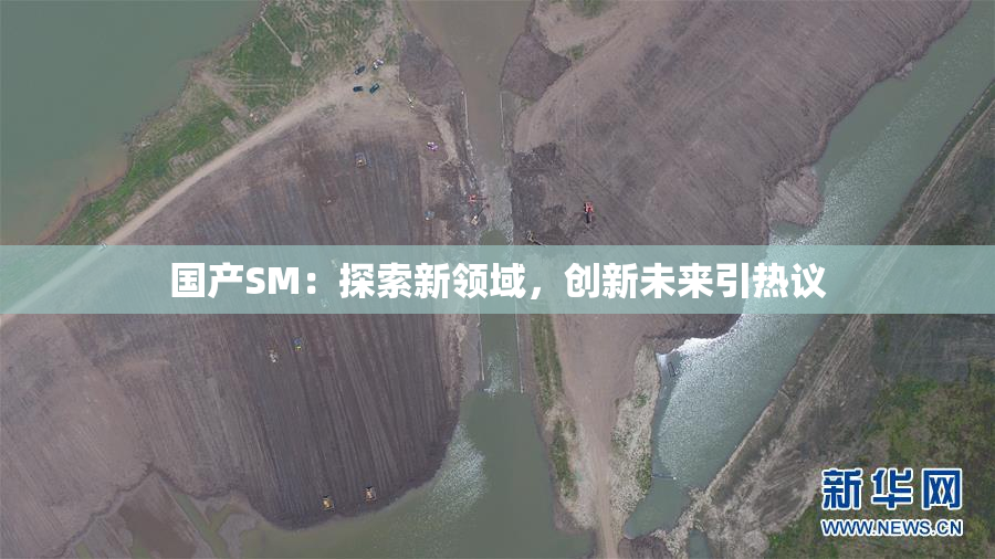 国产SM：探索新领域，创新未来引热议
