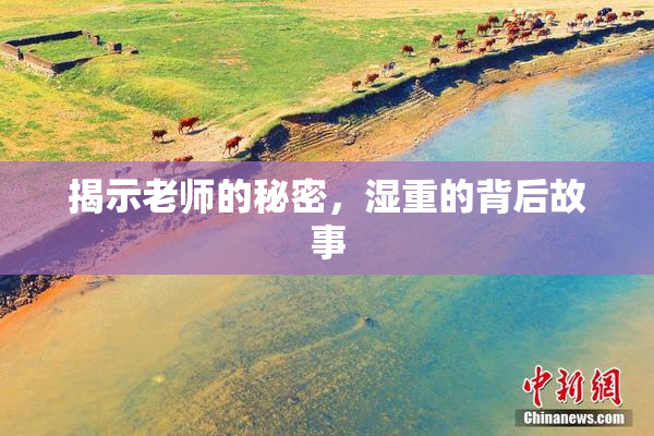 揭示老师的秘密，湿重的背后故事