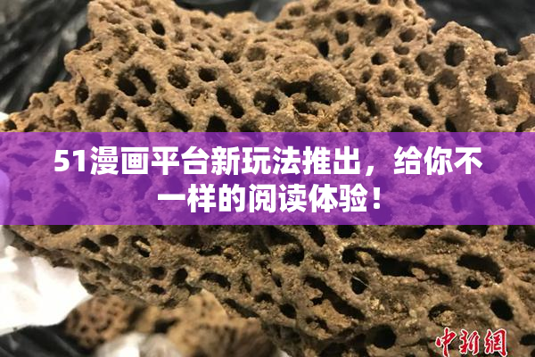 51漫画平台新玩法推出，给你不一样的阅读体验！