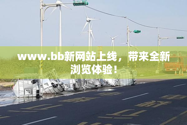 www.bb新网站上线，带来全新浏览体验！