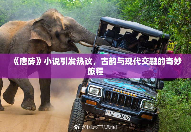 《唐砖》小说引发热议，古韵与现代交融的奇妙旅程