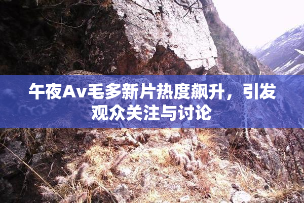 午夜Av毛多新片热度飙升，引发观众关注与讨论