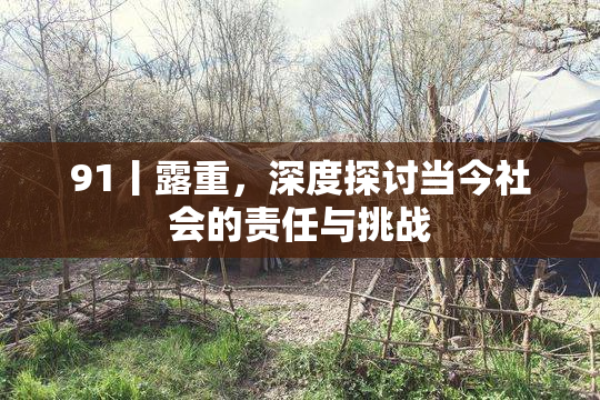 91丨露重，深度探讨当今社会的责任与挑战