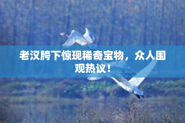 老汉胯下惊现稀奇宝物，众人围观热议！