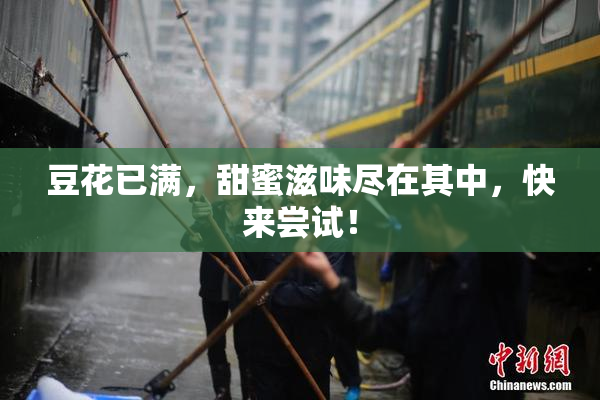 豆花已满，甜蜜滋味尽在其中，快来尝试！