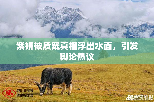 紫妍被质疑真相浮出水面，引发舆论热议
