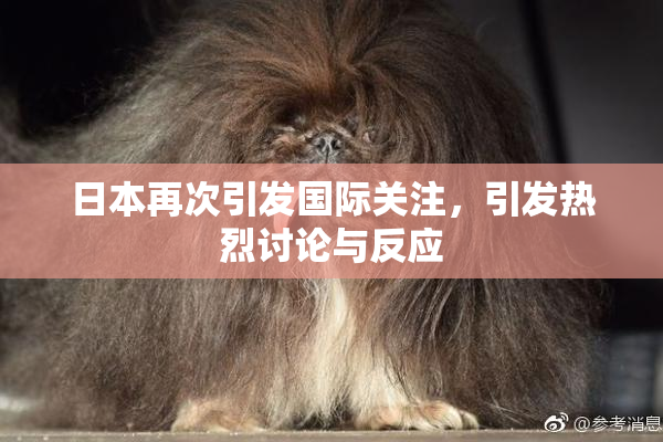 日本再次引发国际关注，引发热烈讨论与反应