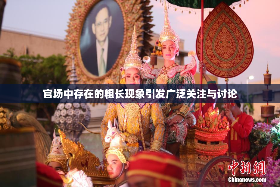 官场中存在的粗长现象引发广泛关注与讨论