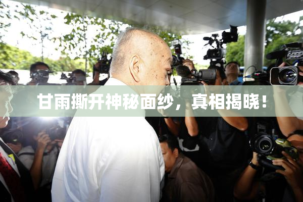 甘雨撕开神秘面纱，真相揭晓！