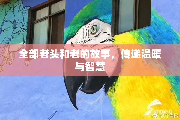 全部老头和老的故事，传递温暖与智慧