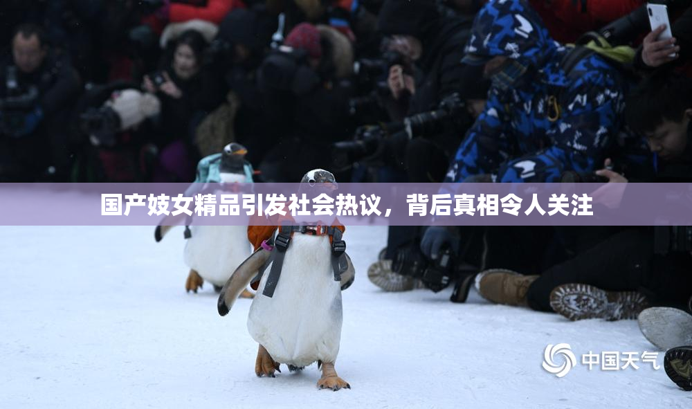 国产妓女精品引发社会热议，背后真相令人关注