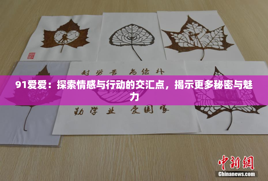91爱爱：探索情感与行动的交汇点，揭示更多秘密与魅力