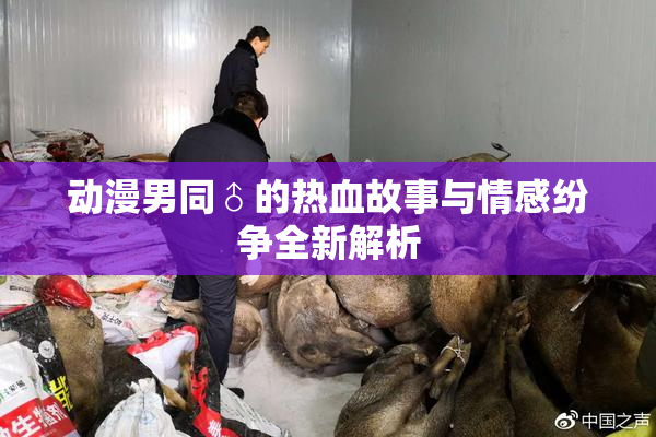 动漫男同♂的热血故事与情感纷争全新解析