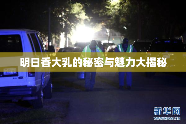 明日香大乳的秘密与魅力大揭秘