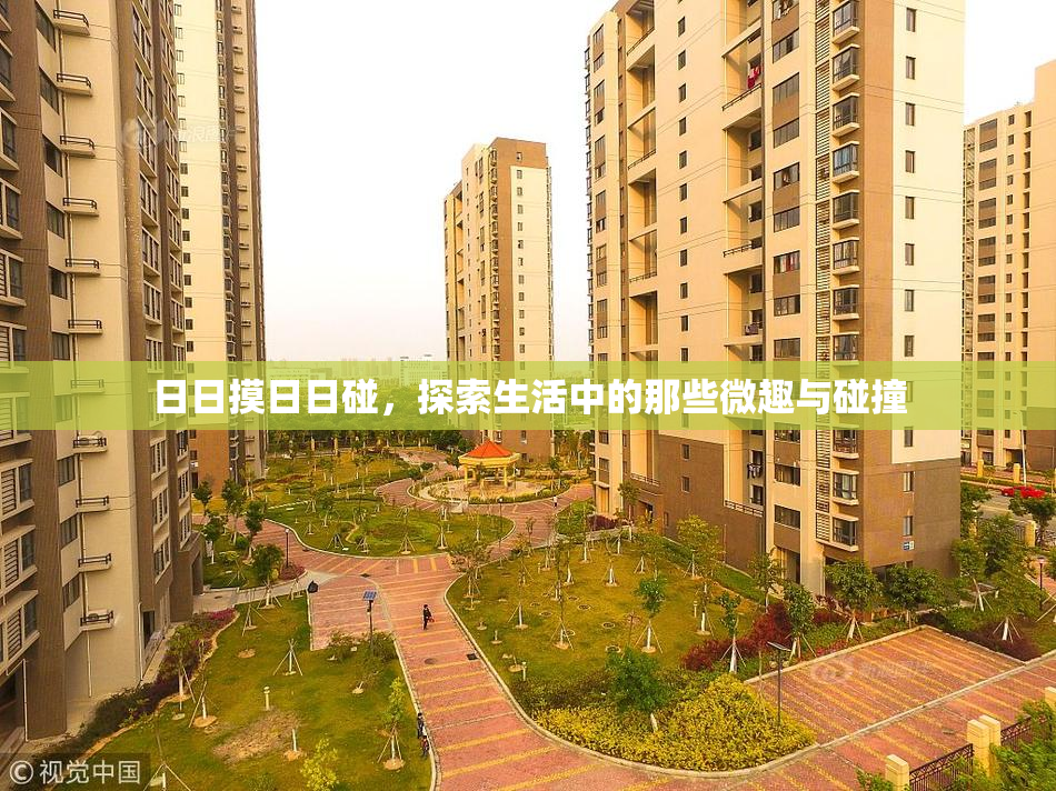 日日摸日日碰，探索生活中的那些微趣与碰撞