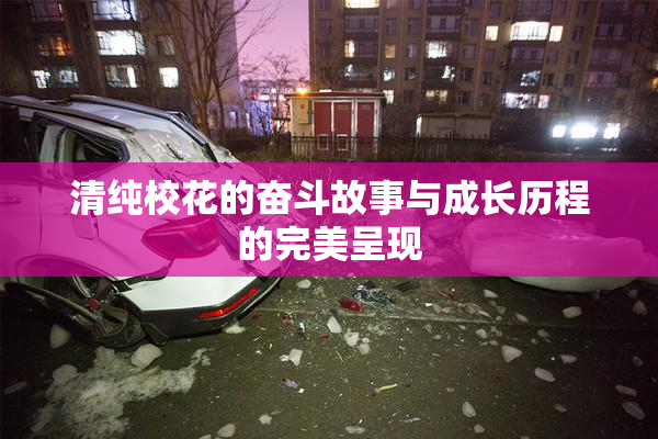 清纯校花的奋斗故事与成长历程的完美呈现