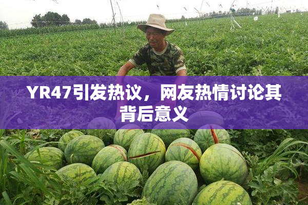 YR47引发热议，网友热情讨论其背后意义