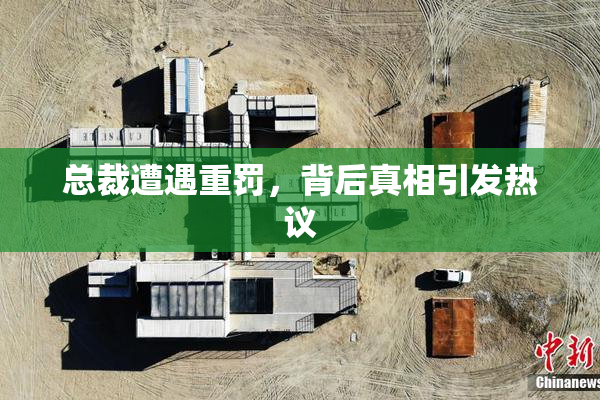 总裁遭遇重罚，背后真相引发热议