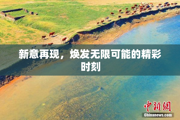 新意再现，焕发无限可能的精彩时刻