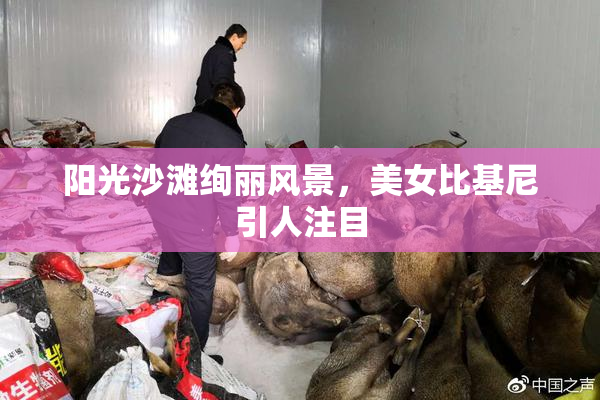 阳光沙滩绚丽风景，美女比基尼引人注目