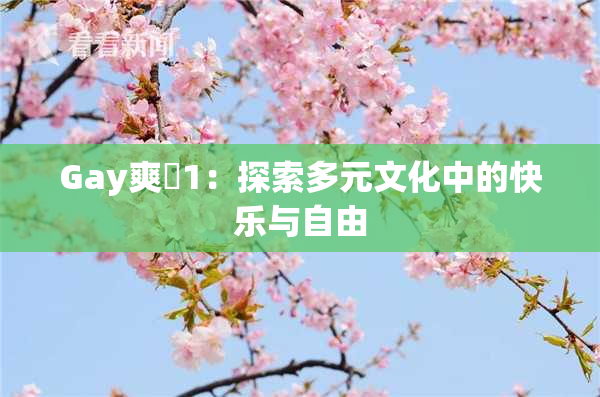 Gay爽擼1：探索多元文化中的快乐与自由