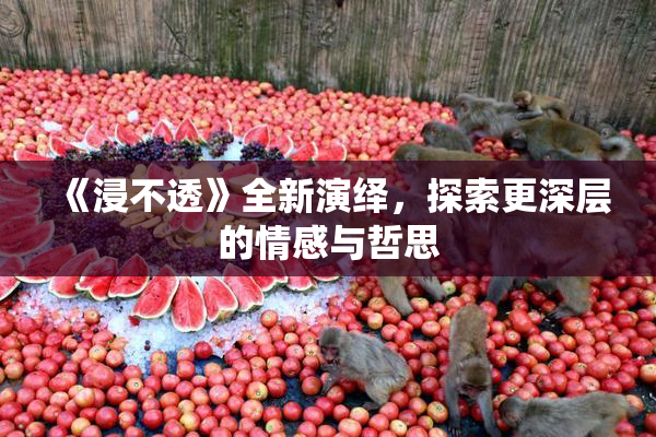 《浸不透》全新演绎，探索更深层的情感与哲思