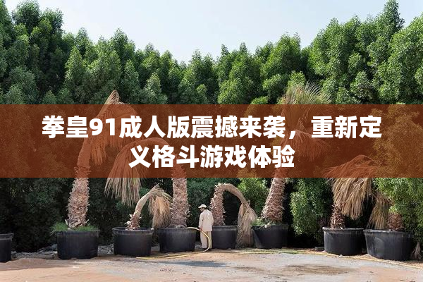 拳皇91成人版震撼来袭，重新定义格斗游戏体验