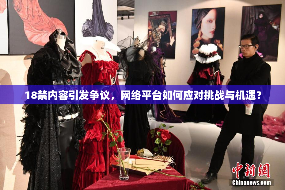 18禁内容引发争议，网络平台如何应对挑战与机遇？