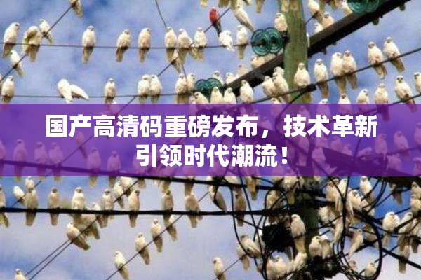 国产高清码重磅发布，技术革新引领时代潮流！
