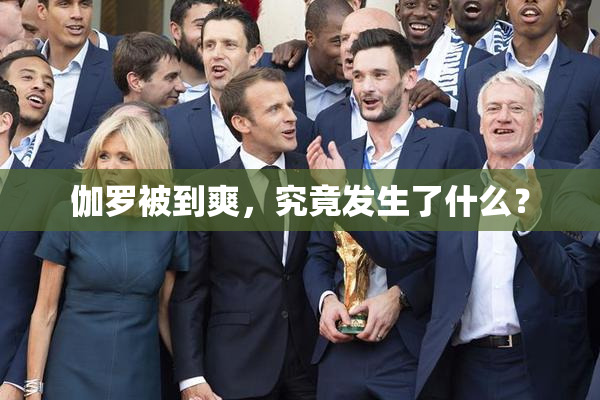伽罗被到爽，究竟发生了什么？