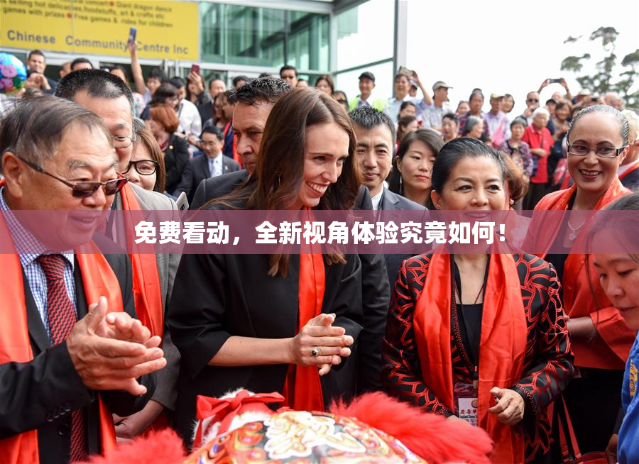 免费看动，全新视角体验究竟如何！