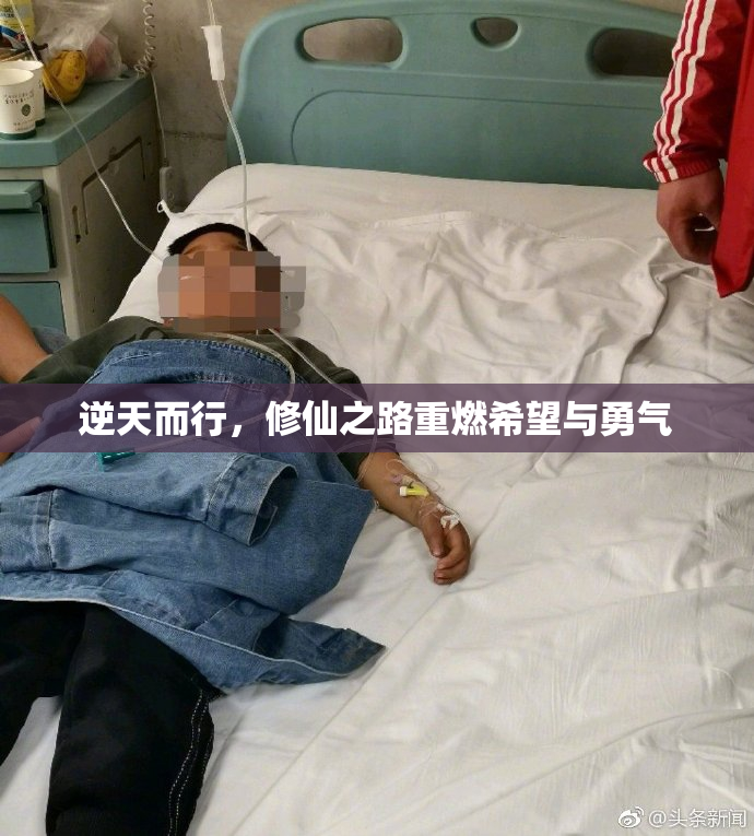 逆天而行，修仙之路重燃希望与勇气