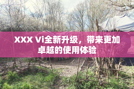 XXX Vi全新升级，带来更加卓越的使用体验