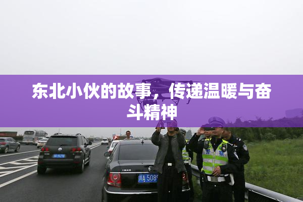 东北小伙的故事，传递温暖与奋斗精神