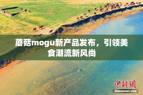 蘑菇mogu新产品发布，引领美食潮流新风尚