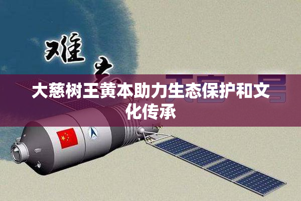 大慈树王黄本助力生态保护和文化传承