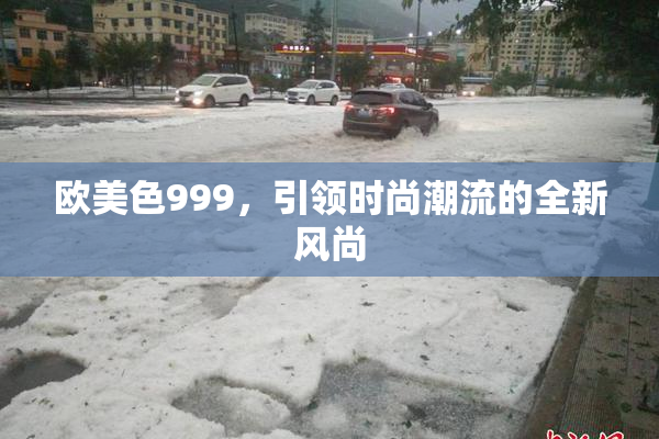 欧美色999，引领时尚潮流的全新风尚