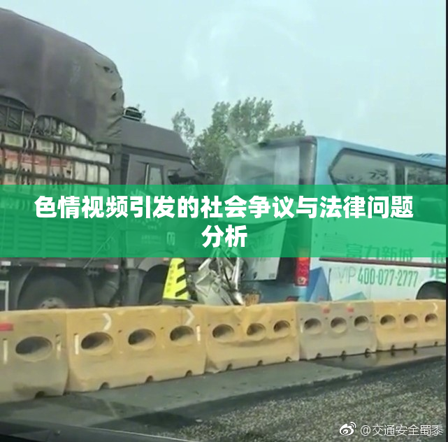 色情视频引发的社会争议与法律问题分析
