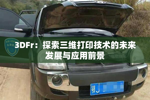 3DFr：探索三维打印技术的未来发展与应用前景