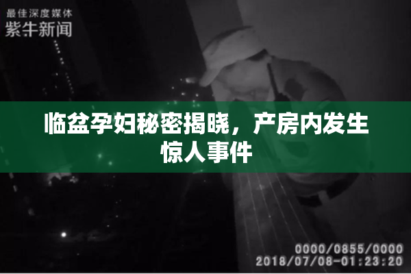 临盆孕妇秘密揭晓，产房内发生惊人事件