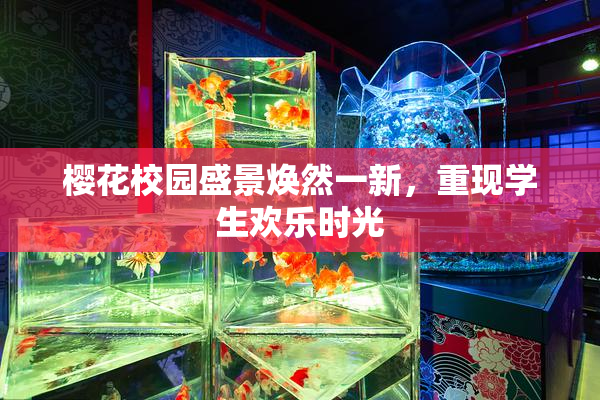 樱花校园盛景焕然一新，重现学生欢乐时光