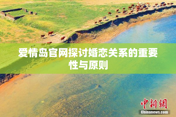 爱情岛官网探讨婚恋关系的重要性与原则