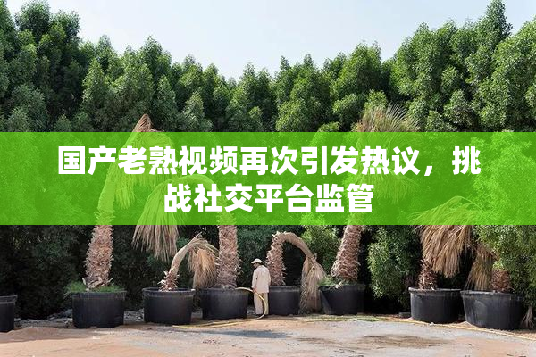国产老熟视频再次引发热议，挑战社交平台监管
