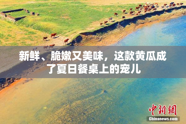 新鲜、脆嫩又美味，这款黄瓜成了夏日餐桌上的宠儿