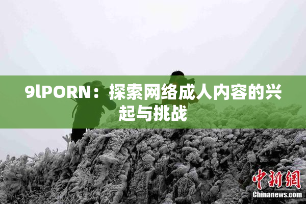 9lPORN：探索网络成人内容的兴起与挑战