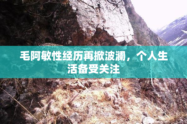 毛阿敏性经历再掀波澜，个人生活备受关注