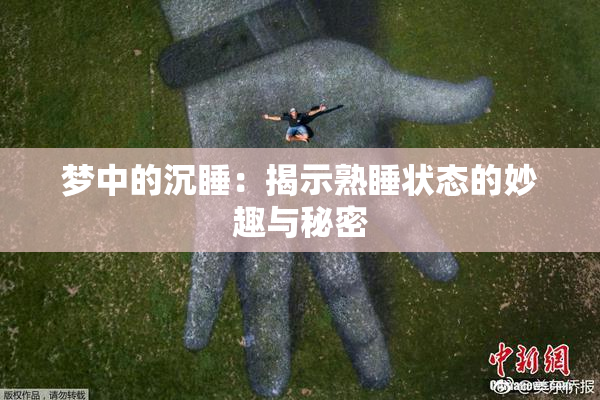 梦中的沉睡：揭示熟睡状态的妙趣与秘密