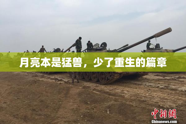 月亮本是猛兽，少了重生的篇章