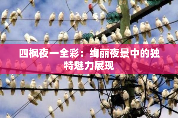 四枫夜一全彩：绚丽夜景中的独特魅力展现